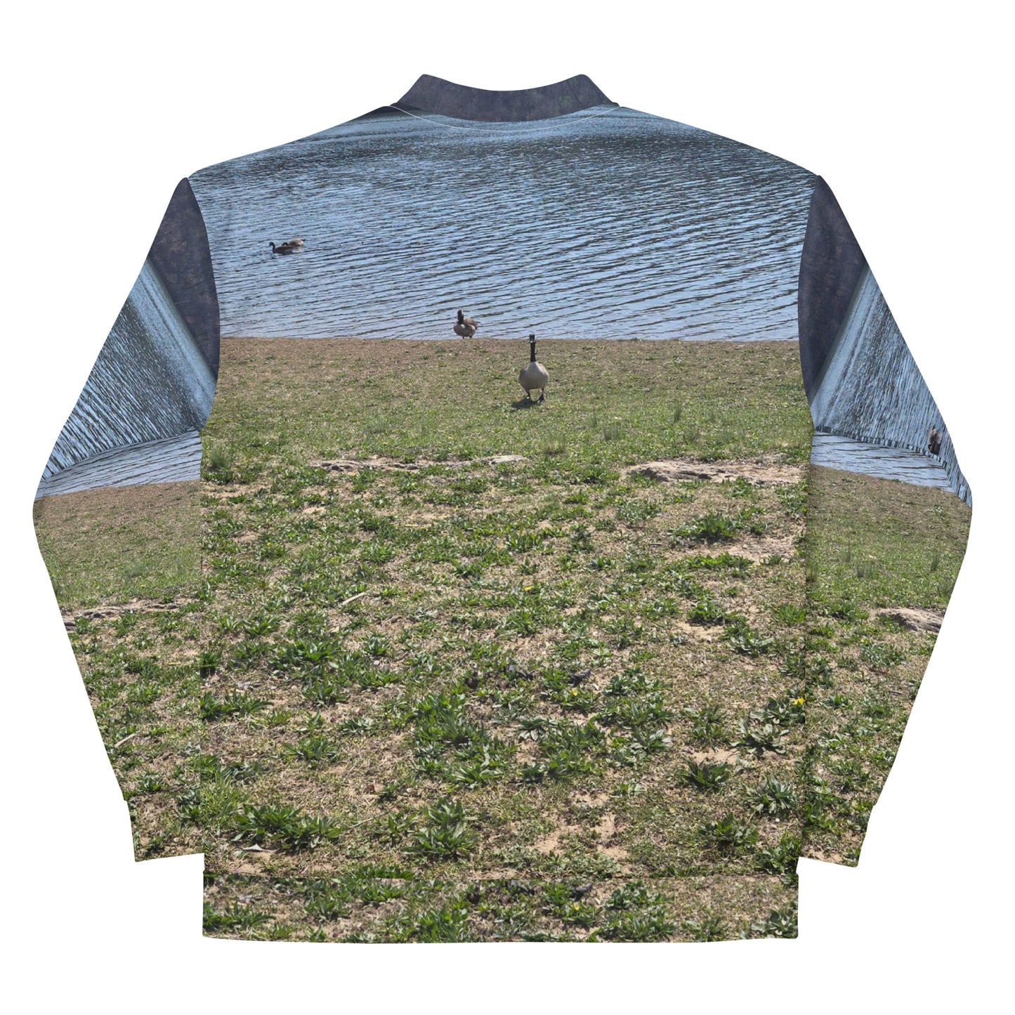 Peaceful Geese Hoodie