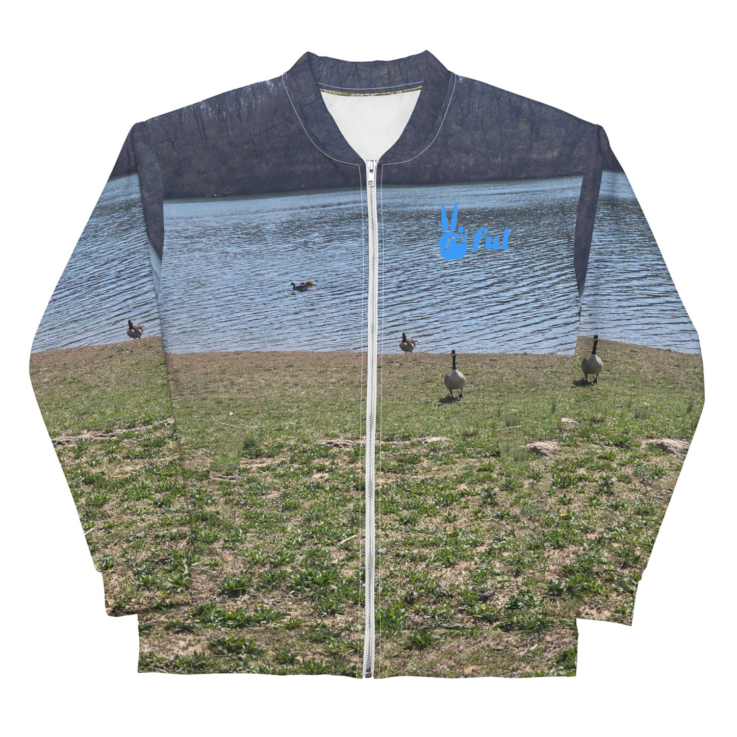 Peaceful Geese Hoodie