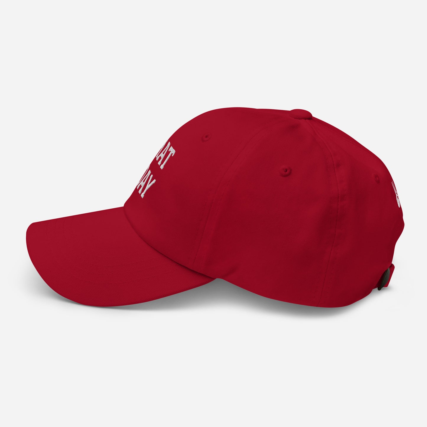 Hat Day Hat