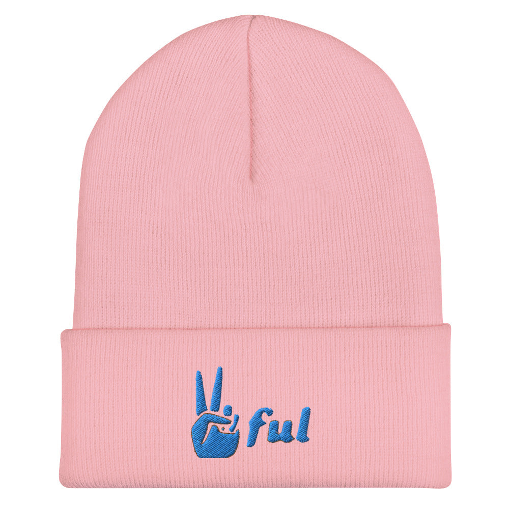 Peaceful Blue Embroidered Cuffed Beanie