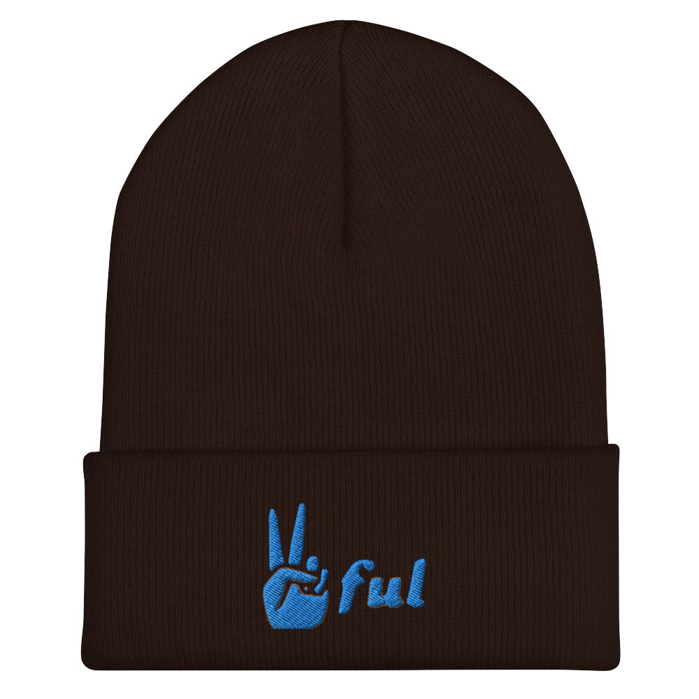 Peaceful Blue Embroidered Cuffed Beanie