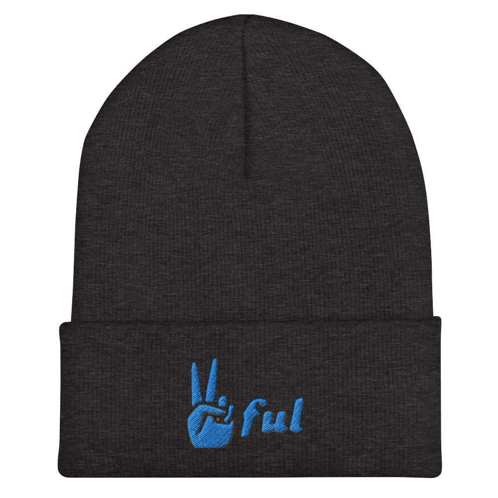 Peaceful Blue Embroidered Cuffed Beanie