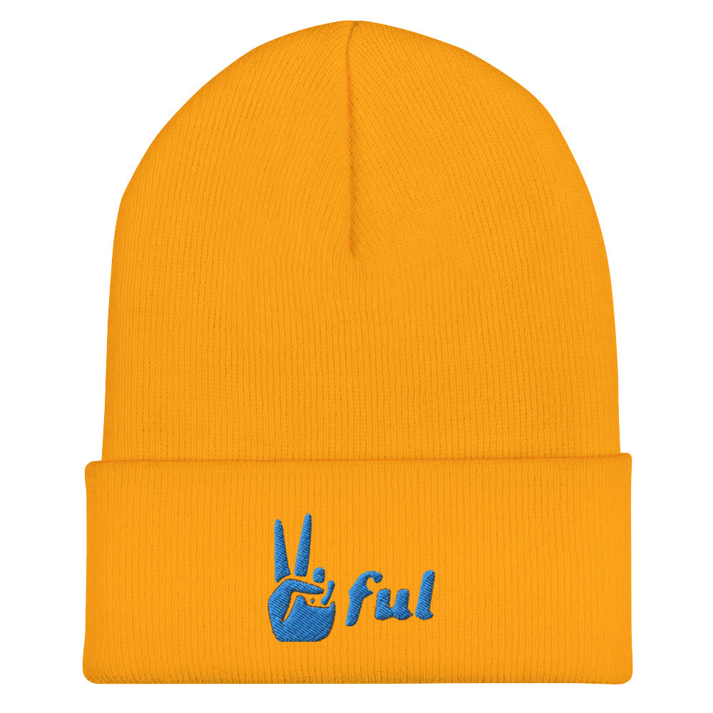 Peaceful Blue Embroidered Cuffed Beanie