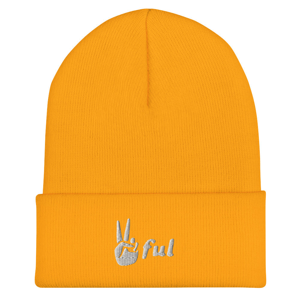 Cuffed White Embroidered Beanie