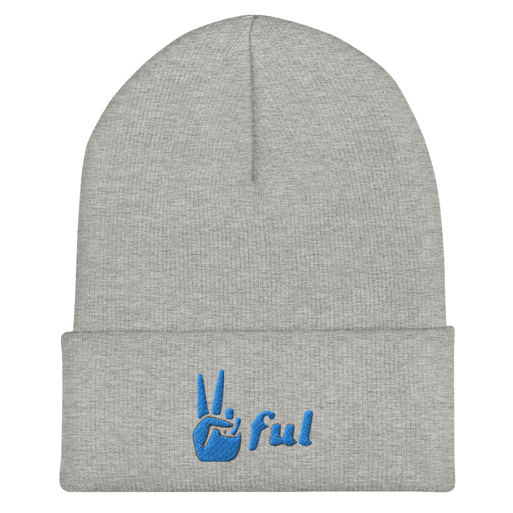 Peaceful Blue Embroidered Cuffed Beanie
