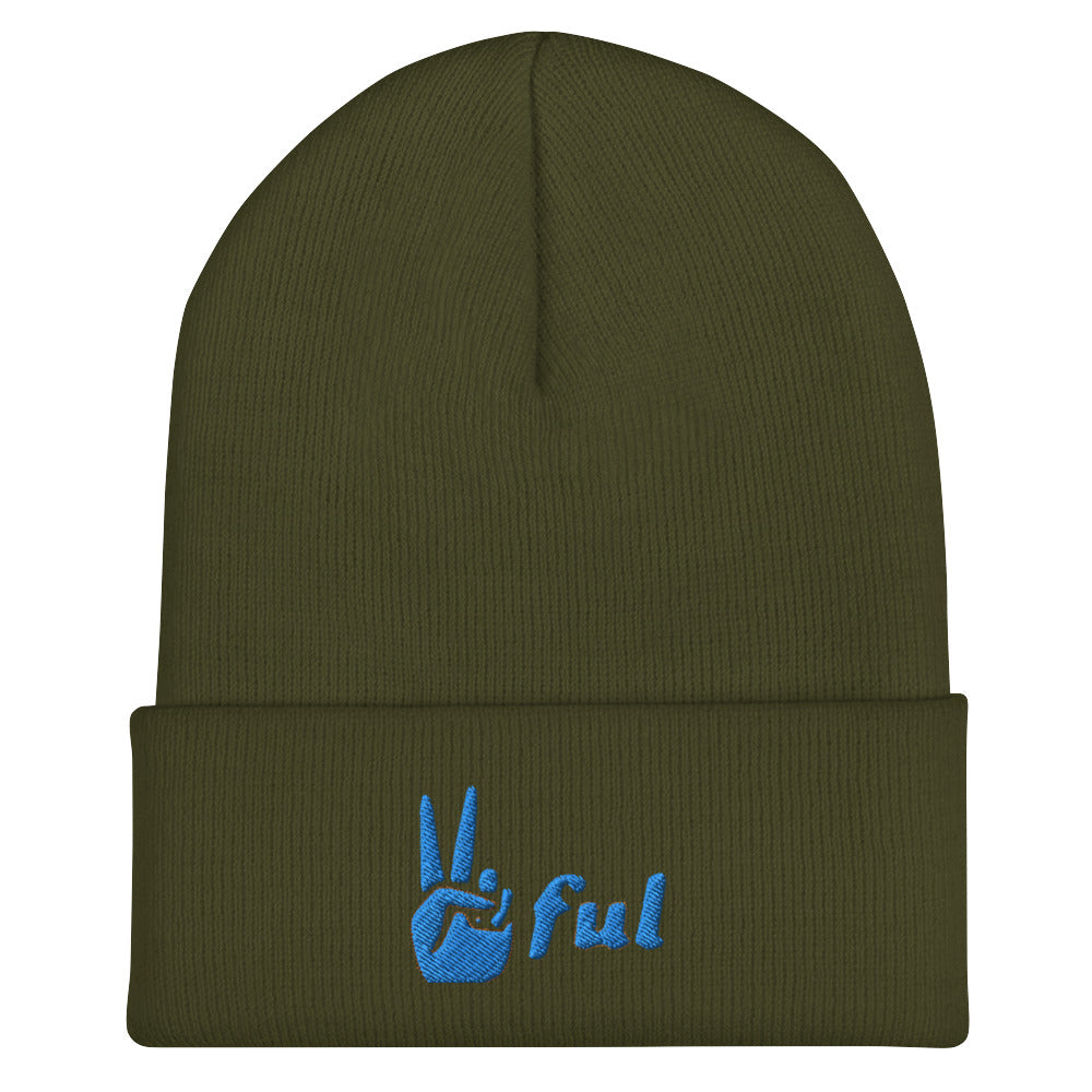 Peaceful Blue Embroidered Cuffed Beanie