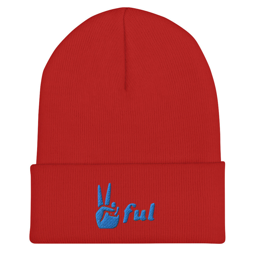 Peaceful Blue Embroidered Cuffed Beanie
