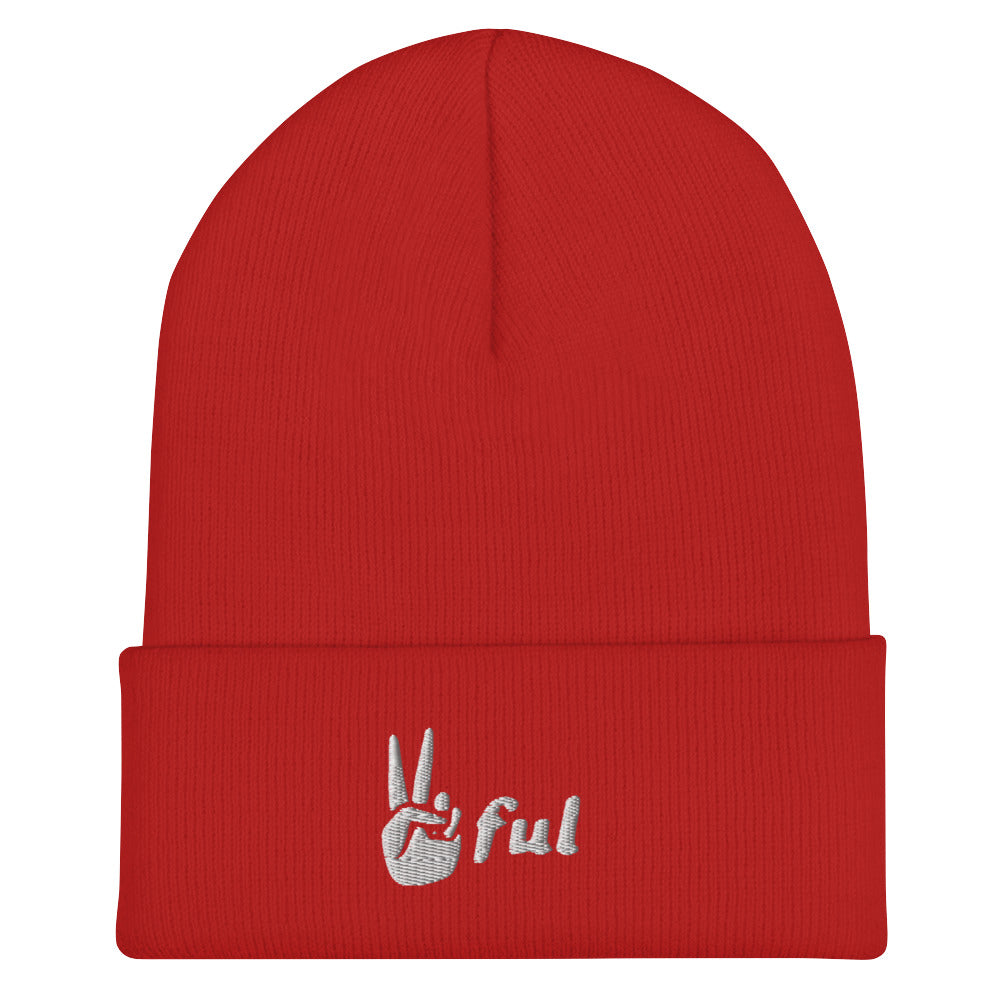 Cuffed White Embroidered Beanie