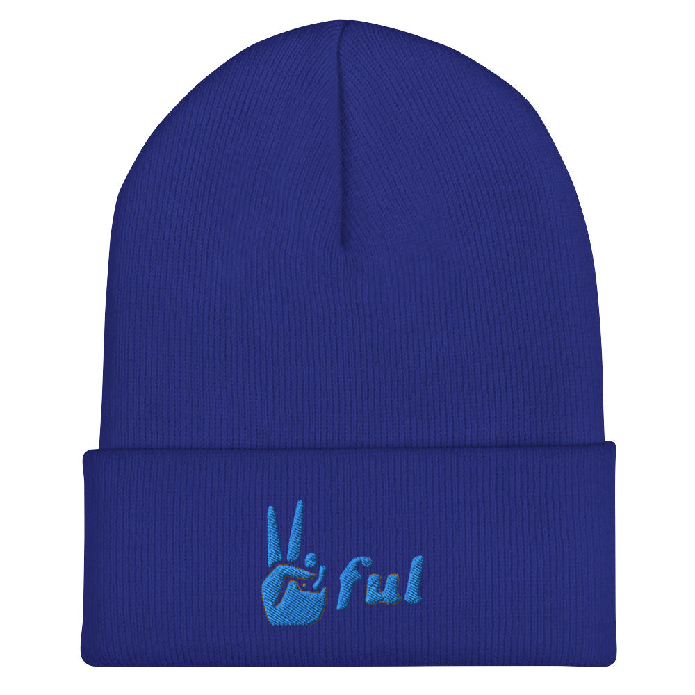 Peaceful Blue Embroidered Cuffed Beanie
