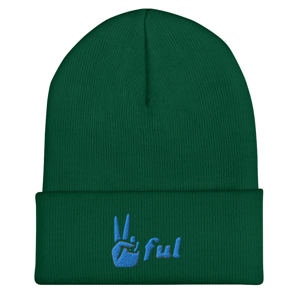 Peaceful Blue Embroidered Cuffed Beanie