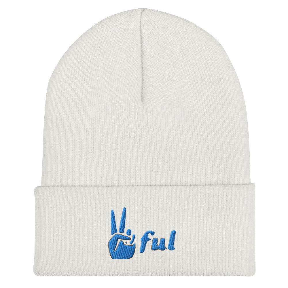 Peaceful Blue Embroidered Cuffed Beanie